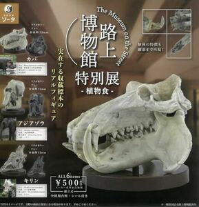 路上博物館 特別展 植物食 キリン グレー 単品 欠品有 未開封 正規品 ガチャガチャ 定形外220円発送