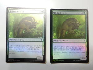 【MTG】★Foil　噛み付きナーリッド　日本語2枚セット　戦乱のゼンディカー　BFZ　コモン