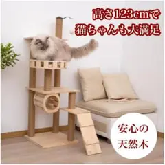 キャットタワー 天然木 高さ123cm 大型 猫ハウス 爪研ぎ 組み立て簡単