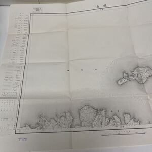 古地図 地形図 五万分之一 国土地理院 昭和24年応急修正 昭和34年発行 姫島 大分県