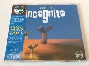 未開封 見本/インコグニート INCOGNITO ギヴィング・イット・アップ GIVIN’ IT UP プロモ盤