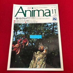 Ac-307/Anima アニマ 1990年11月号No.218 平凡社発行 特集:森のおくりもの 緑のめぐみと動物・人 幻の鳥カンムリツクシガモ 他/L1/7021