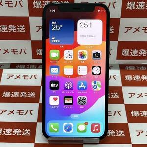 iPhone12 mini 256GB Apple版SIMフリー バッテリー100％ 美品[256412]