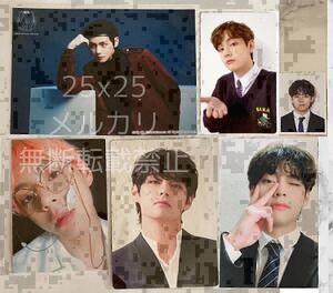 BTS 公式 非売品 希少 ファンクラブ 日本 グローバル FC 継続特典 ARMY MEMBERSHIP KIT トレカ V TAEHYUNG テヒョン