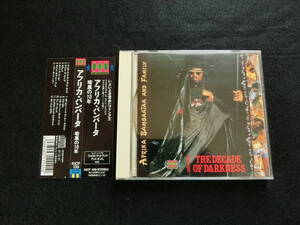 希少★旧規格　CSR刻印　KICP-139　1　アフリカ・バンバータ/AFRIKA BAMBAATAA AND FAMILY【暗黒の10年　THE DECADE OF DARKNESS】