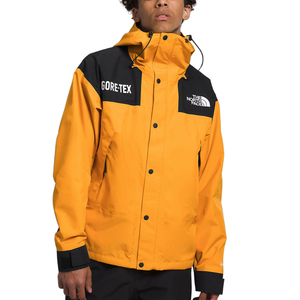 【新品本物 海外購入】THE NORTH FACE ノースフェイス■GTX MOUNTAIN JACKET■Summit G/M■ゴアテックス マウンテンジャケット 海外限定