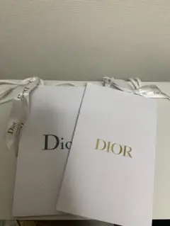 Dior ディオール　ショッパー　リボン付き　ショップ袋　紙袋　中サイズ　2枚