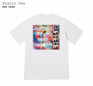 ★Supreme Static Tee Ash Grey Lサイズ シュプリーム box logo Tシャツ アウター パーカー 新品 送料込