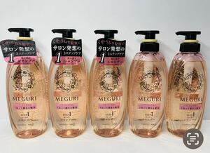 ASIENCE アジエンス MEGURI メグリ ハリ コシ シャンプー ポンプ 430ml