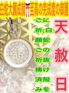 龍体文字 フトマニ図 神代文字 白蛇の抜け殻 チャーム 神字 カタカムナ メモリーオイル ストラップ 白蛇のお守り【天赦日ご祈祷済み】12