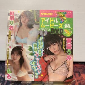 東雲うみ　ヤングチャンピオン　付録DVD 2023年11号