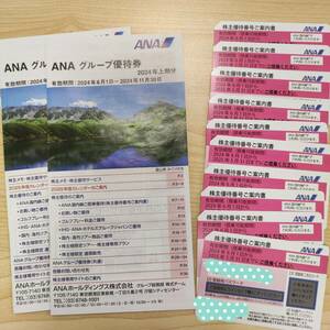 【匿名配送】【送料無料】ANA株主優待券 計10枚 期限 25/5/31（ピンク）＋冊子2冊