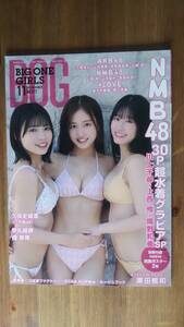 （ZG‐4285）　BIG ONE GIRLS(ビッグワンガールズ) 2023年 11 月号　　表紙・付録ポスター＝NMB48