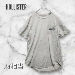 HOLLISTER ホリスター　Tシャツ/カットソー　半袖　ベージュ系　コットン 　2409