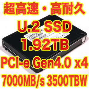 希少！ U.2 SSD 高耐久 エンタープライズモデル 1.92TB 約2TB SAMSUNG MZWLJ1T9HBJR-00007 2.5インチ U.2 15mm厚