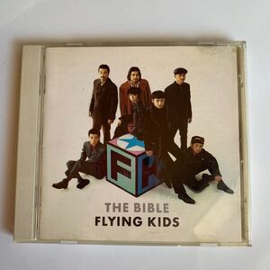 ＦＬＹＩＮＧＫＩＤＳ／ザバイブル〜祝！ 天国