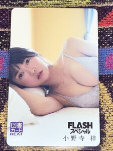 【FLASHスペシャル】小野寺梓　図書カードNEXT