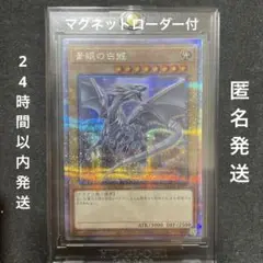 QUARTERCENTURYDUELISTBOX  青眼の白龍　25thレア