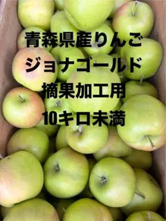 青森県産りんご　ジョナゴールド　摘果加工用10キロ未満