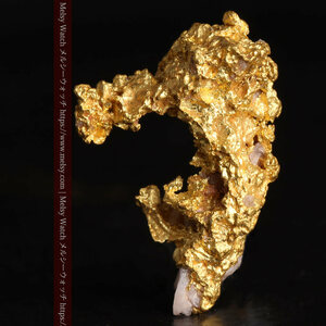 3.04gの咆哮する黄金色に輝く竜のような形の自然金・ゴールドナゲット《商品番号G0443》