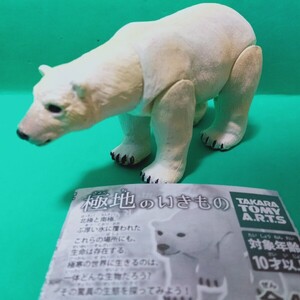 タカラトミーアーツ 極地のいきもの ホッキョクグマ 北極熊 頭が可動 TAKAR TOMY A.R.T.S あそべる生物フィギュアシリーズ polar bear