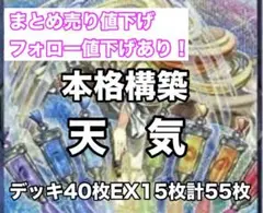 遊戯王 天気 本格構築 デッキ40枚EX15枚計55枚