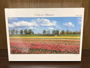 フィルム未開封 アルクマール チューリップ オランダ Tulip in Allmaar ジグソー パズル JIGSAW PUZZLE MADE IN JAPAN 日本製 1000ピース