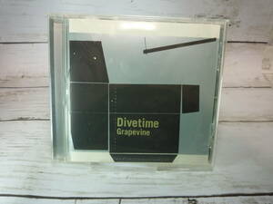 CD　Grapevine　 Divetime　　★GRAPEVINE（グレイプバイン) 　★傑作『ライフタイム』を丸ごとリミックスした異色作　　C312