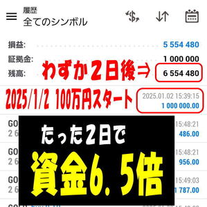 【たった2日間で100万円⇒655万円】正直、公開して良いのか迷ったFX自動売買です