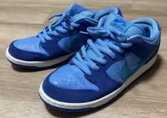 Nike SB Dunk Low Pro Blue Raspberry