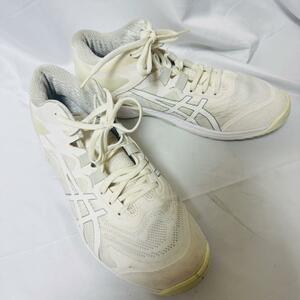 ASICS アシックス スニーカー シューズ 靴 メンズ 28cm