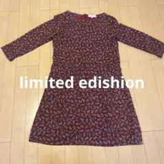 limited edishion ペイズリー柄ワンピース