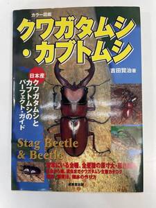 世界のクワガタムシ・カブトムシ最新大百科／趣味・就職ガイド・資格　2001年 平成13年【H89632】