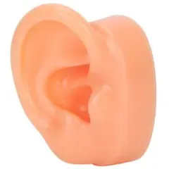 耳モデル　シリコン　人間の耳モデル　補聴器用のシュミレーション人工耳