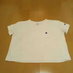 チャンピオン　Tシャツ　中古品　１４０ｃｍ