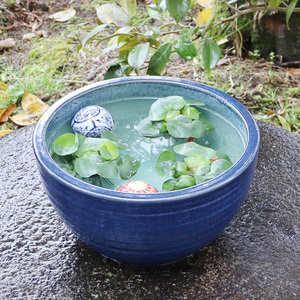 信楽焼 睡蓮鉢 メダカ鉢 おしゃれ めだか鉢 陶器 水鉢 ビオトープ 金魚鉢 信楽焼き スイレン鉢 ハス鉢 10号ナマコ色水鉢 su-0139