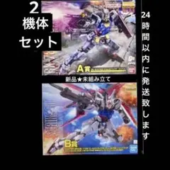 新品 MG 一番くじ 機動戦士ガンダム A賞 とB賞 ガンプラ  2 種類セット