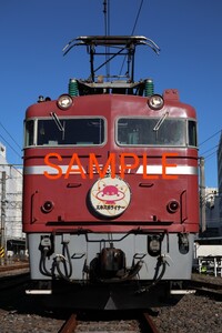 JR東日本 往年の機関車展示撮影会 EF8197 エキスポライナー