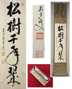 【千寿】大徳寺派 宗鏡寺 雪尾要道 松樹千年翠 自筆 一行書 紙本 d950◆在銘 箱 茶掛 掛軸 掛物 茶道具 同梱可 条件有 100027901　