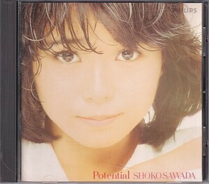 CD 沢田聖子 Potential