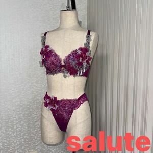 サルート BTJ439・PTJ439 ブラジャー Tバック上下セット ワコール salute