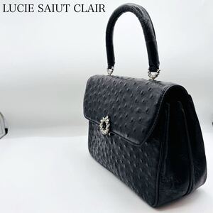 【極美品】LUCIE SAIUT CLAIR ルーシーサンクレール ハンドバッグ ワンハンド◎オーストリッチ◎シルバー金具◎高級◎冠婚葬祭◎ブラック