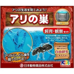 【送料無料】ニチドウ 飼育観察セット アリの巣立体観察