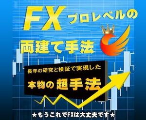 専業！FX【プロレベルの両建て手法】 