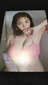 一冊丸ごと篠崎愛　オール撮り下ろし写真集　ヤングアニマル別冊付録　状態良好