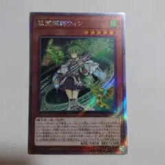 【美品】遊戯王　風霊媒師ウィン　エクシク