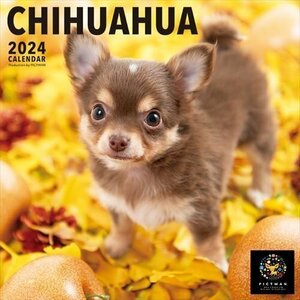新品 チワワ PICTWAN (ピクトワン) カレンダー DOG 【L版】 2024年カレンダー24CL-50008L