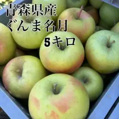 青森県産 りんご ぐんま名月 5キロ