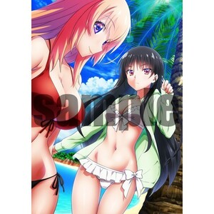  帆波＆鈴音 アニメ描き下ろしイラスト使用B1タペストリー 「Blu-ray/DVD ようこそ実力至上主義の教室へ」 とらのあな全巻購入特典