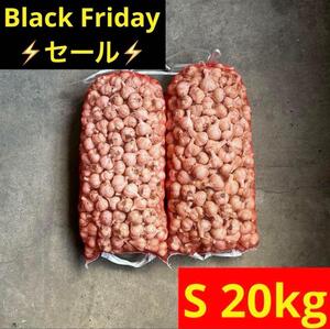 【赤字覚悟】20kg S 新物 青森県産にんにく 福地ホワイト六片 加工　お得